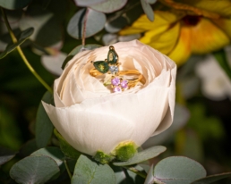Des bijoux d’exception créés avec passion pour transmettre l’émotion. De la poésie en matière. De la haute joaillerie enfin accessible.